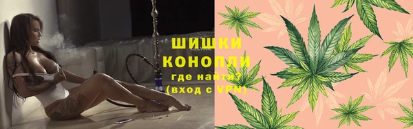 ГАЛЛЮЦИНОГЕННЫЕ ГРИБЫ Ельня