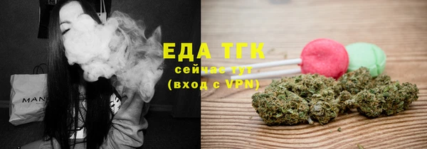 прущие грибы Елабуга