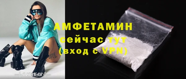 ГАЛЛЮЦИНОГЕННЫЕ ГРИБЫ Ельня