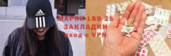 прущие грибы Елабуга