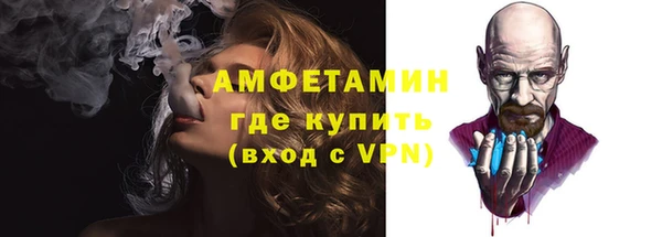 прущие грибы Елабуга