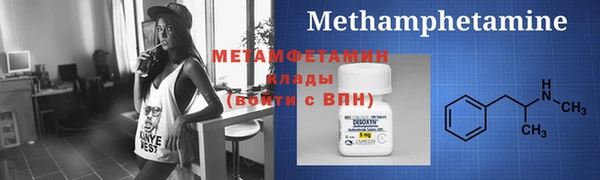 ГАЛЛЮЦИНОГЕННЫЕ ГРИБЫ Ельня