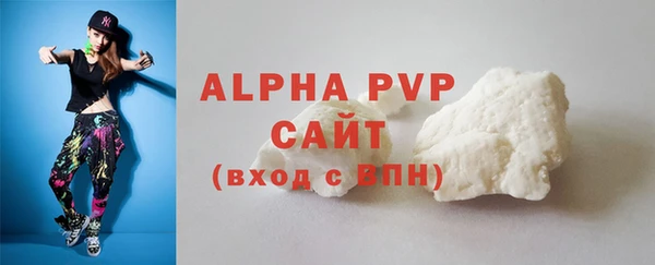 прущие грибы Елабуга