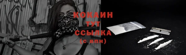 прущие грибы Елабуга