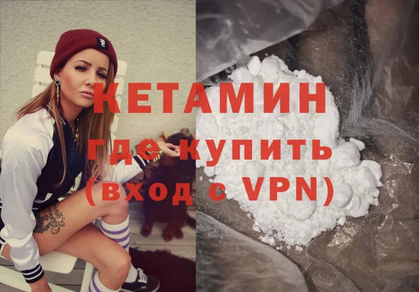 прущие грибы Елабуга