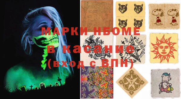 прущие грибы Елабуга