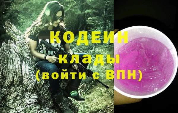 ГАЛЛЮЦИНОГЕННЫЕ ГРИБЫ Ельня