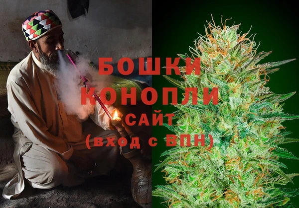 прущие грибы Елабуга