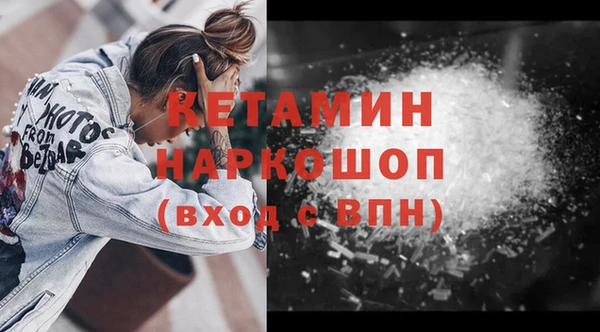 прущие грибы Елабуга