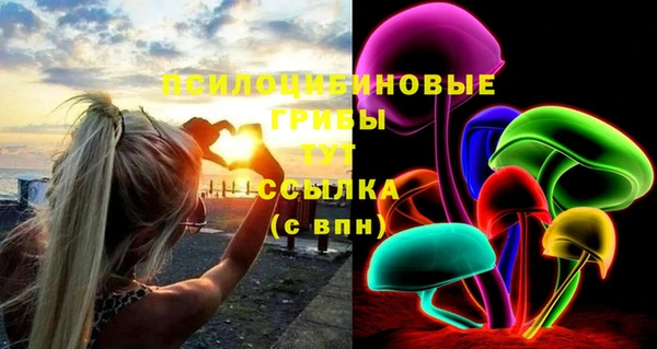 ГАЛЛЮЦИНОГЕННЫЕ ГРИБЫ Ельня