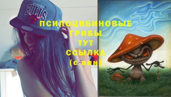 не бодяженный Елизово