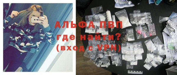 ГАЛЛЮЦИНОГЕННЫЕ ГРИБЫ Ельня
