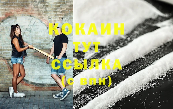 ГАЛЛЮЦИНОГЕННЫЕ ГРИБЫ Ельня