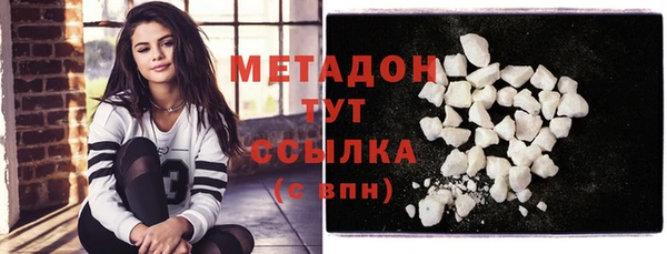 прущие грибы Елабуга