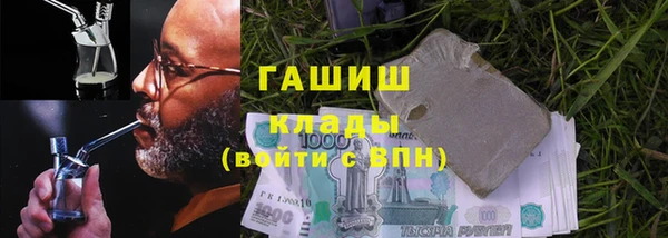 ГАЛЛЮЦИНОГЕННЫЕ ГРИБЫ Ельня