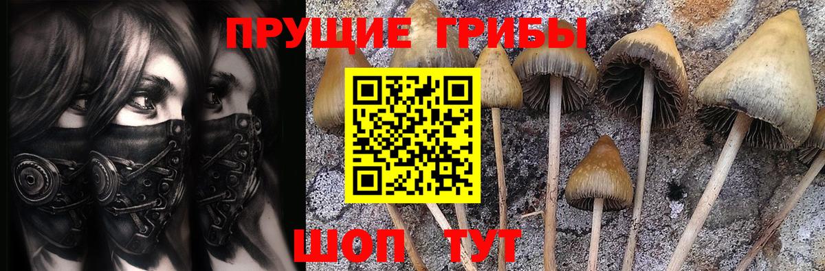 Галлюциногенные грибы GOLDEN TEACHER  Вход с VPN  Истра 