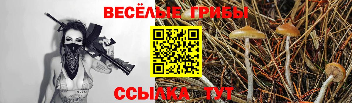 Галлюциногенные грибы Psilocybe Истра